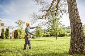 Best Firewood Processing and Delivery  in East Setauket, NY